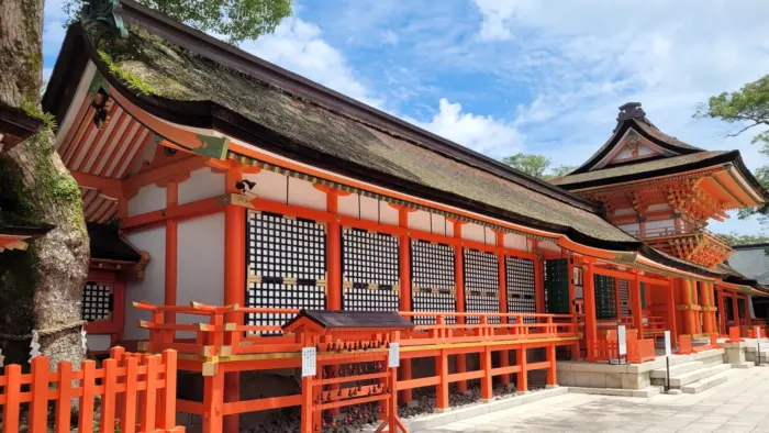 The grand torii gate and peaceful forest setting of Usa Jingu Shrine in Oita
