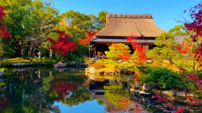 A scenic view of the main pond and lush greenery at Isuien Garden in Nara.