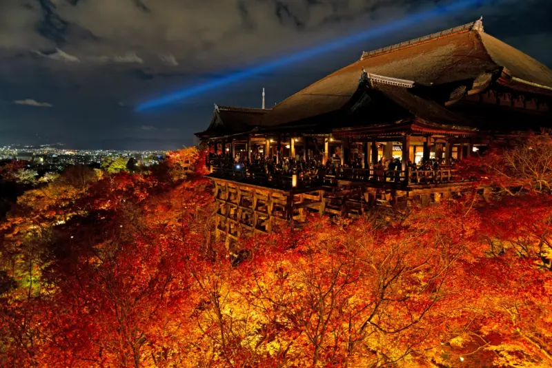 Kiyomizu-dera Temple illuminated at night during the autumn light-up event.