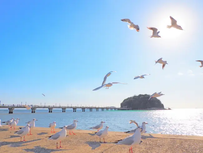 Take Island in Gamagori, a serene destination with beautiful ocean views.