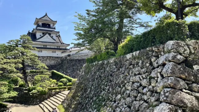 Kochi Castle, a historic wooden castle with cherry blossoms in spring in Kochi City