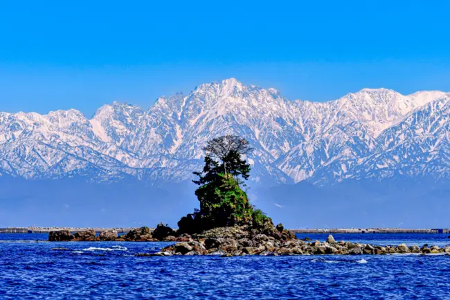 Toyama Bay, where fresh seafood meets stunning alpine backdrops.