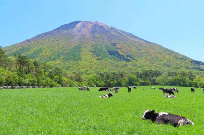 Scenic Mount Daisen, a volcanic peak with hiking trails and seasonal beauty in Tottori