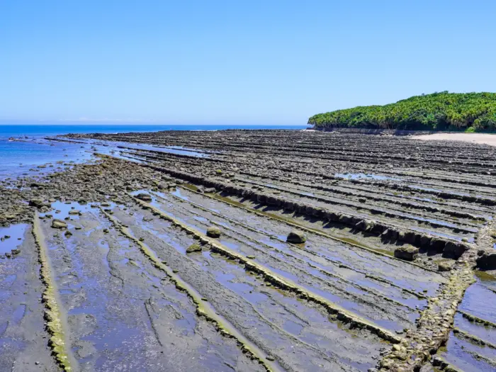 Palm-lined roads and dramatic cliffs along the stunning Nichinan Coast in Miyazaki Prefecture