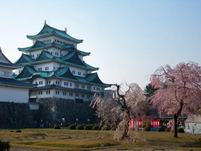 Nagoya Castle with its golden shachihoko, a symbol of the city’s historic grandeur