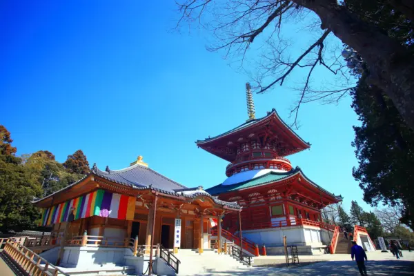 Naritasan Shinshoji Temple’s main hall surrounded by lush gardens and historic charm.