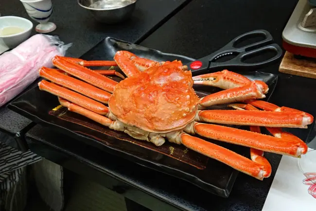 Large Echizen crab on the table