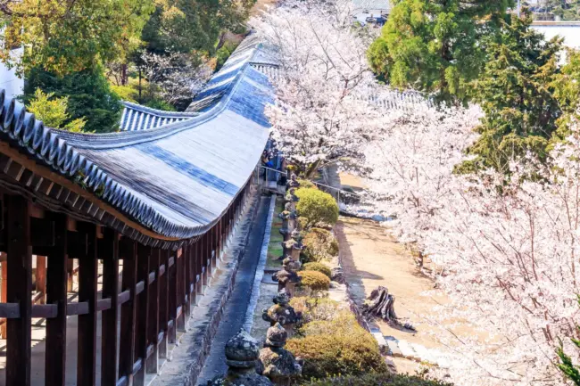 Kibitsu Shrine in Okayama, known for its long corridor and connection to the Momotaro legend