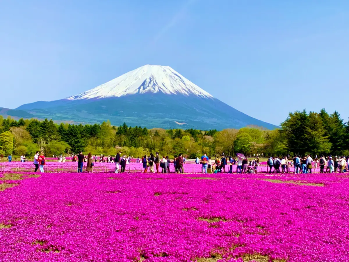 Majestic view of Mount Fuji, symbolizing Mountain Day in Japan, a celebration of the nation’s mountains and natural beauty.