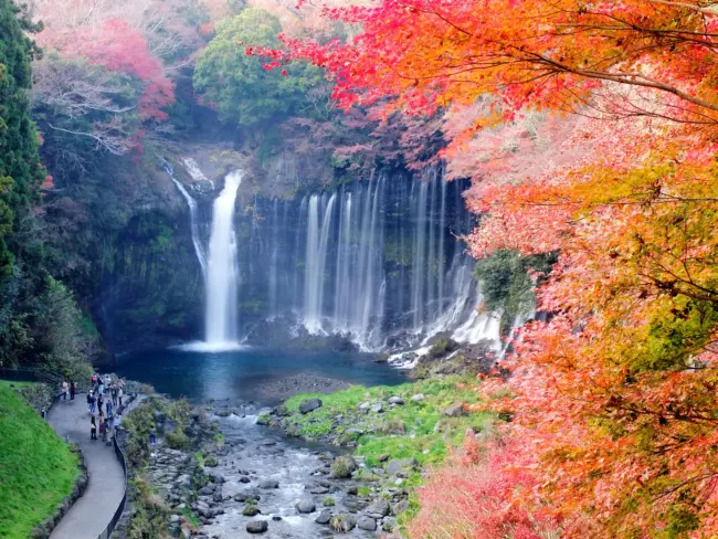 The iconic Shiraito Falls, with clear waters cascading near Mount Fuji