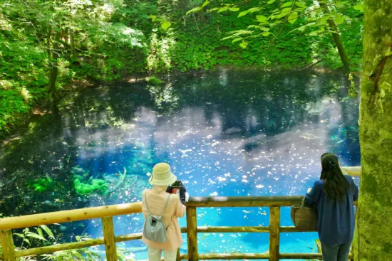 The vibrant Aoike Blue Pond, a striking feature of Shirakami-Sanchi.