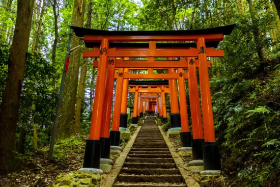 The vibrant red torii gates of Fushimi Inari Taisha, forming a picturesque pathway