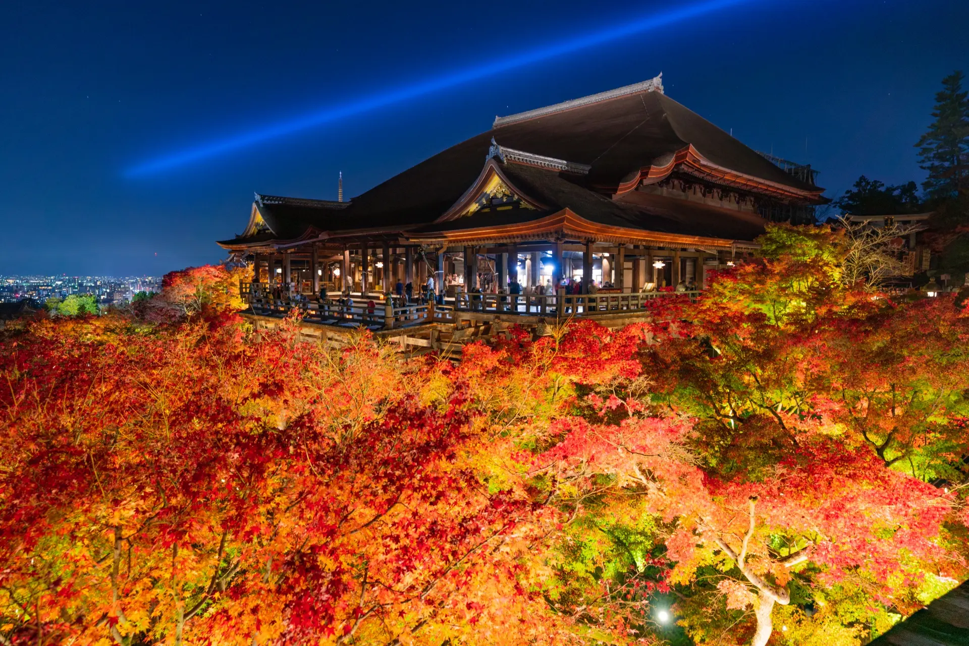 Kyoto: The Cultural Heart of Japan