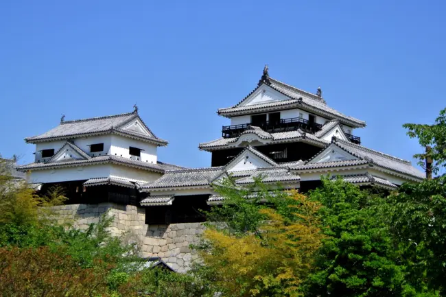 Matsuyama Castle on a hilltop, surrounded by cherry blossoms with views of the Seto Inland Sea