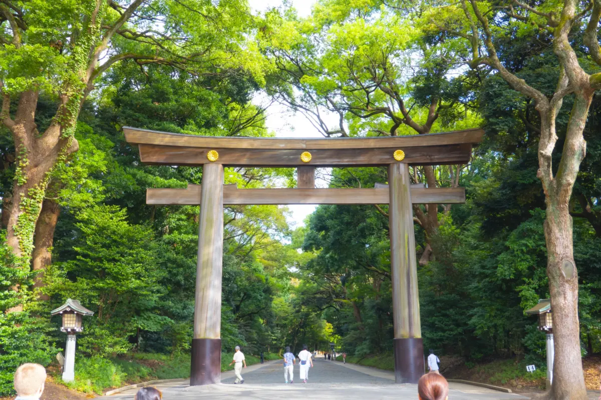 Meiji Shrine in Tokyo, a top tourist destination surrounded by lush forest and rich history.