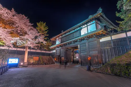 The Rock-Splitting Cherry Tree in Morioka, a symbol of resilience and natural beauty.