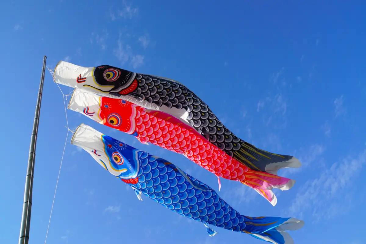 Koinobori carp streamers flying in the wind, symbolizing Children's Day, part of Japanese holidays and festivals