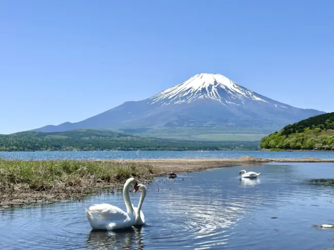 Miho no Matsubara’s scenic pine grove with Mount Fuji in the background.