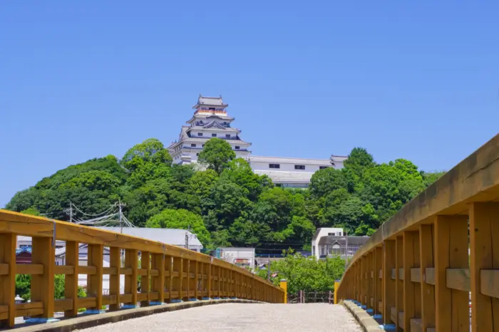 Karatsu Castle overlooking Karatsu Bay with cherry blossoms in full bloom.