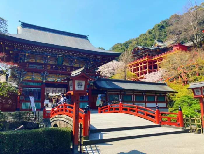 The vibrant red gates and lush greenery surrounding Yutoku Inari Shrine in Saga