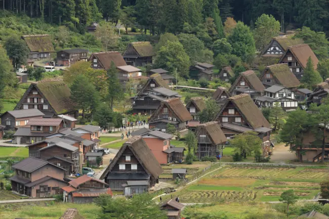 The traditional gassho-zukuri houses of Shirakawa-go, a UNESCO World Heritage site.