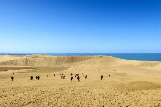 Expansive Tottori Sand Dunes with camels and views of the Sea of Japan