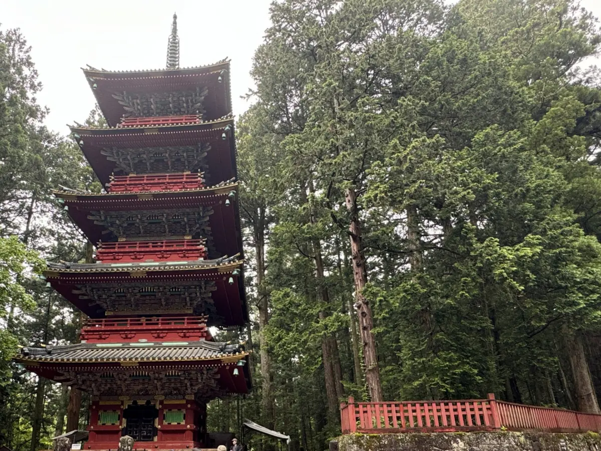 Nikko Toshogu Shrine's ornate gate surrounded by lush forest