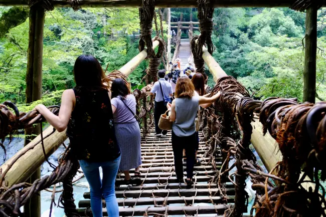 The iconic Kazurabashi vine bridge crossing a gorge in the scenic Iya Valley, Tokushima.