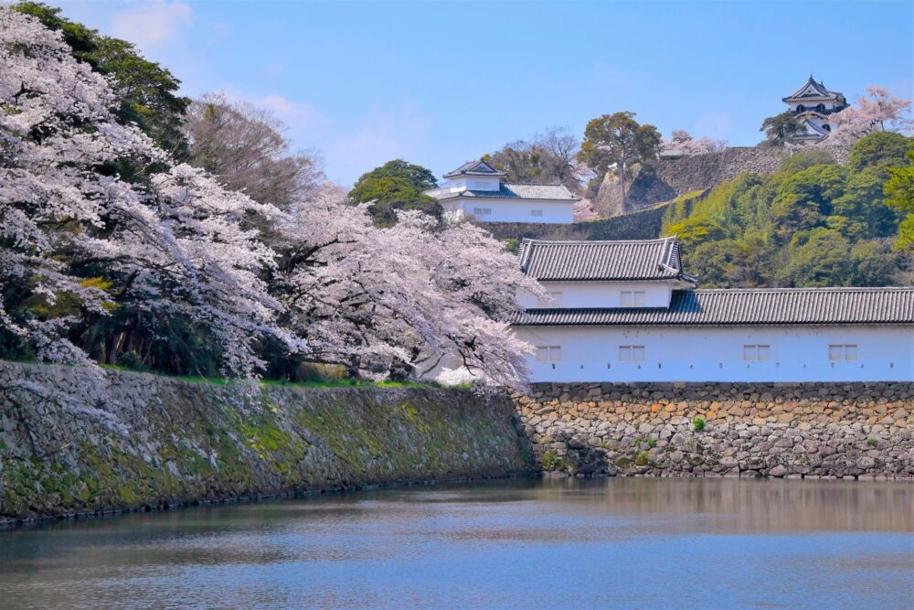Top Things to Do in Shiga, JAPAN