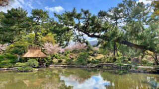Shukkeien Garden: Hiroshima’s Serene Historic Escape