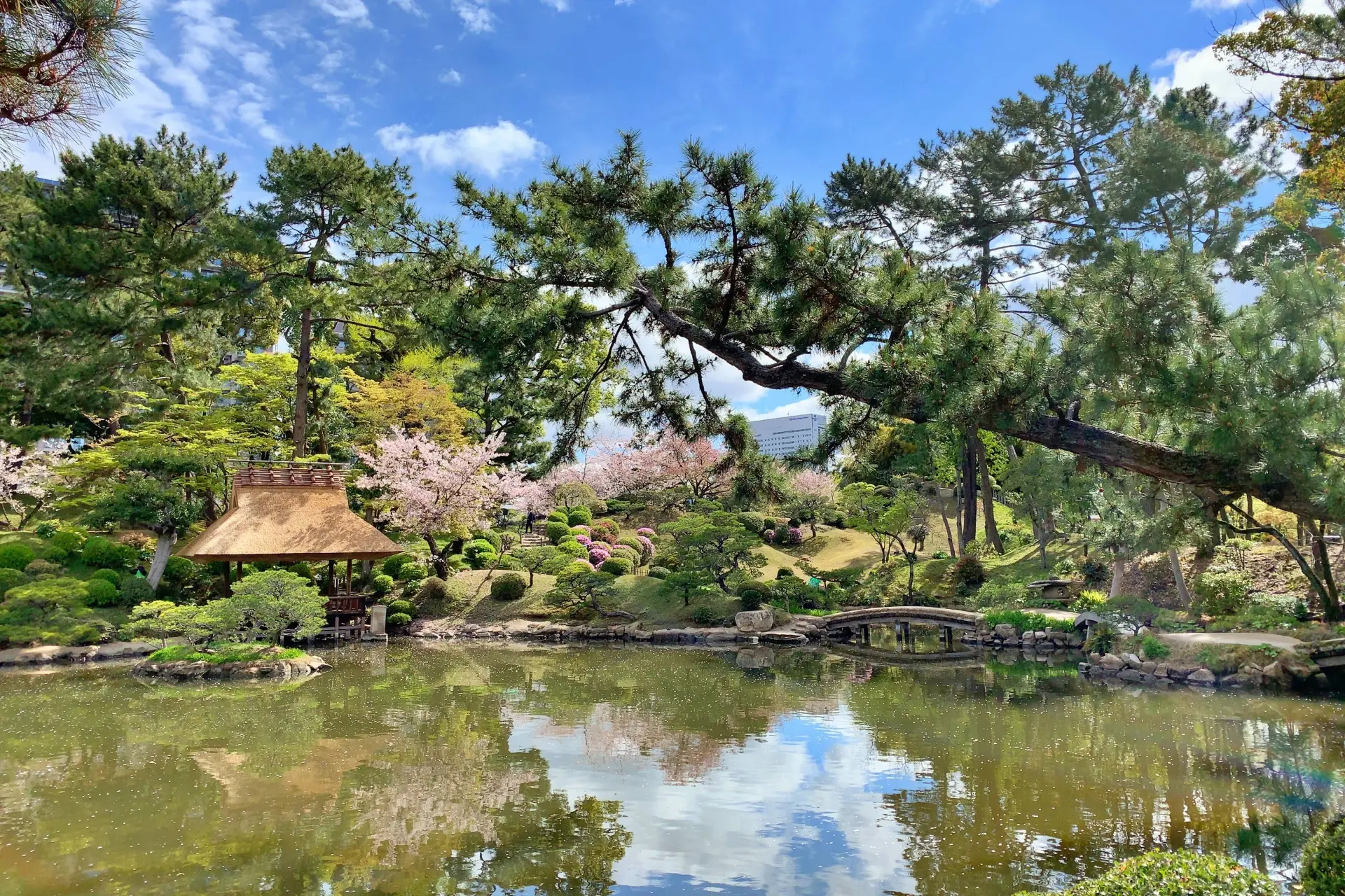 Shukkeien Garden: Hiroshima’s Serene Historic Escape