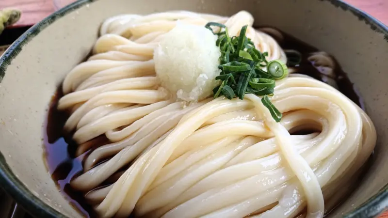 Sanuki Udon, Kagawa's famous noodle dish.
