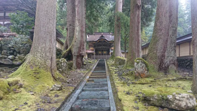 The peaceful halls of Eiheiji Temple, surrounded by seasonal beauty.