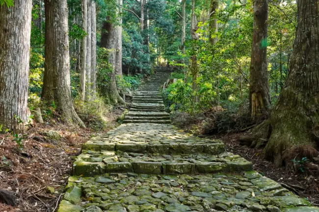 Ancient Kumano Kodo Iseji pilgrimage route surrounded by lush forests and traditional villages in Mie.