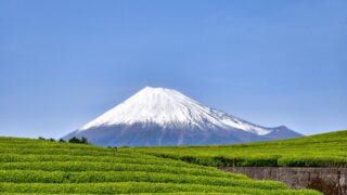 7 Things to Do in Shizuoka, JAPAN