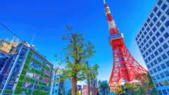 Top 10 Things to Do in Tokyo, JAPAN