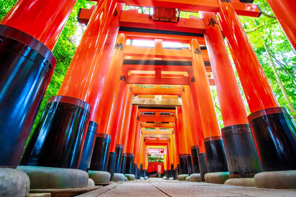 Senbon Torii at Fushimi Inari Taisha, one of the most popular shrines in Japan, famous among tourists.