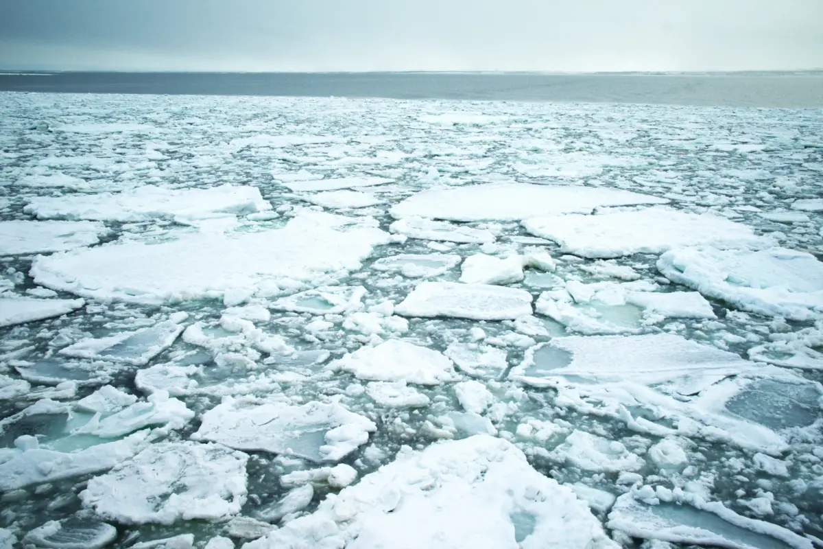 Drift ice floating near Shiretoko Cape in winter, offering a unique view of this UNESCO World Heritage Site