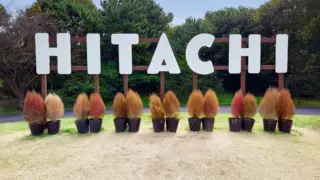 hitachi ibaraki