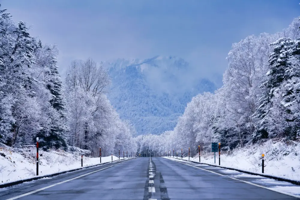 A serene snowy landscape in Hokkaido, showcasing the region's winter beauty; perfect for photo spots Hokkaido.