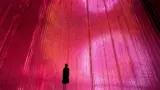 teamLab Planets TOKYO: Immersive Art in Toyosu
