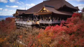 Kiyomizu-dera Temple's iconic wooden stage overlooking cherry blossoms in Kyoto