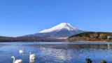 A majestic view of Mount Fuji with a serene lake in the foreground