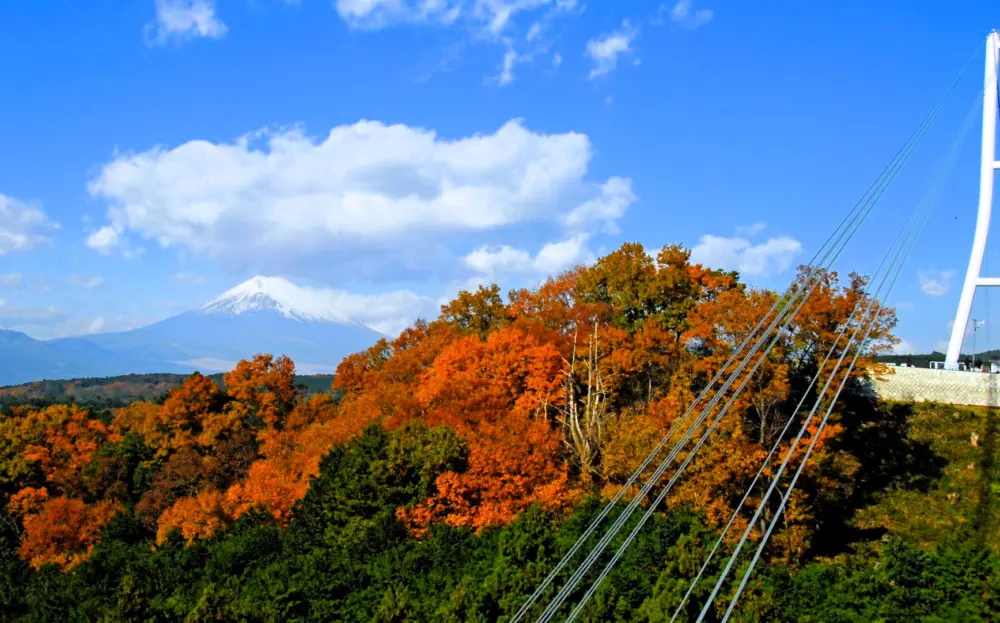 A stunning view of Mishima Skywalk with Mount Fuji in the background.
