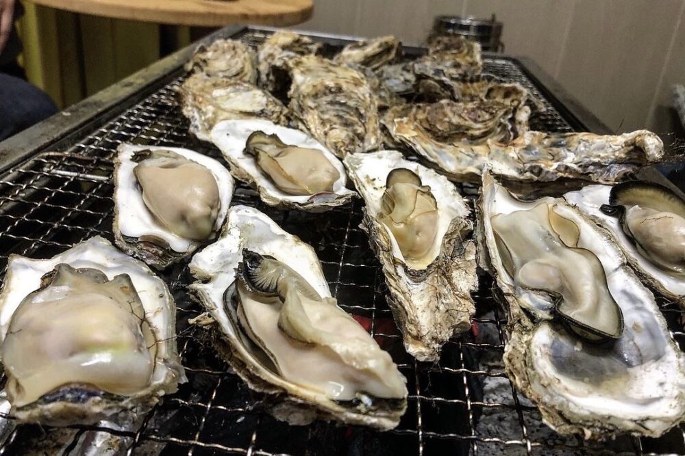 Hiroshima Oyster