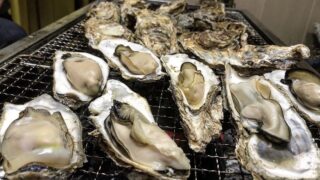 Hiroshima Oyster