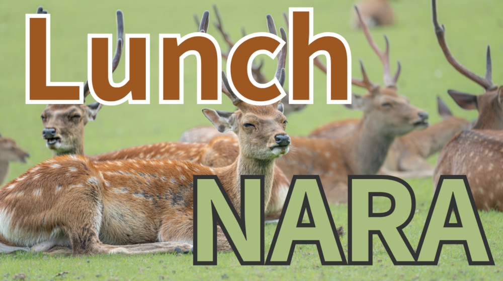 A Japanese woman dining near Nara Park